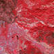 Image: NASA Earth Observatory